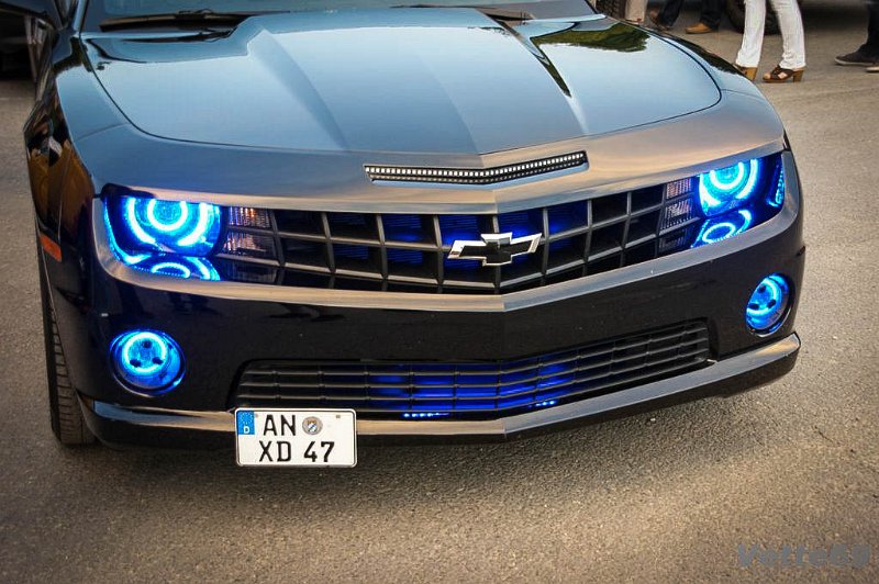 DSC09986.jpg - SONY DSC