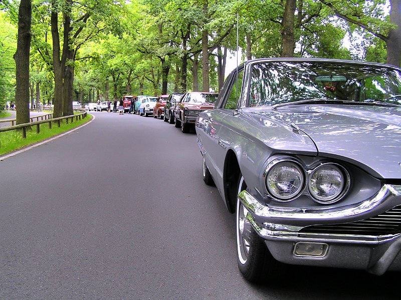 Pool Party 17 004.jpg