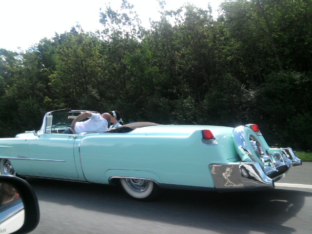 P8014804cp.JPG - User comment