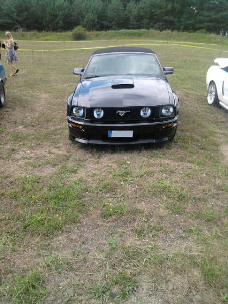 P8014804t.JPG - User comment