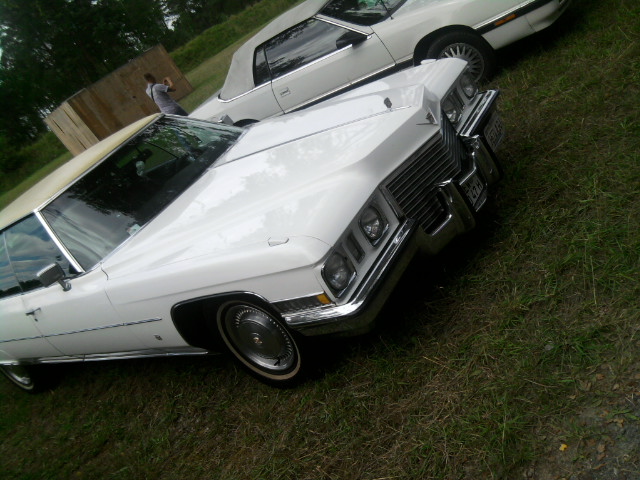 P8014804zc.JPG - User comment