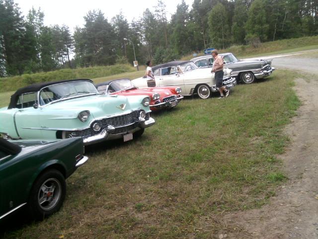 P8014804zd.JPG - User comment